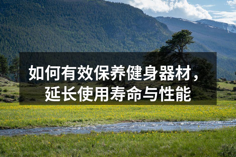 如何有效保养健身器材，延长使用寿命与性能