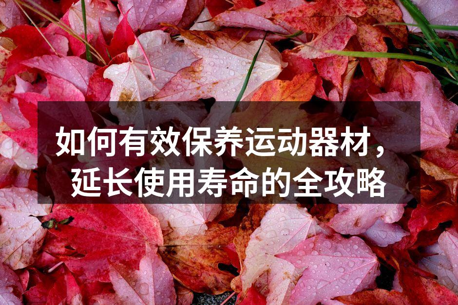 如何有效保养运动器材，延长使用寿命的全攻略