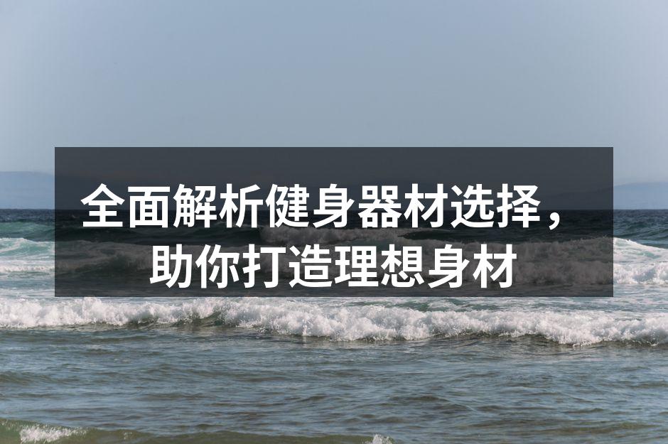 多样化的健身器材选择