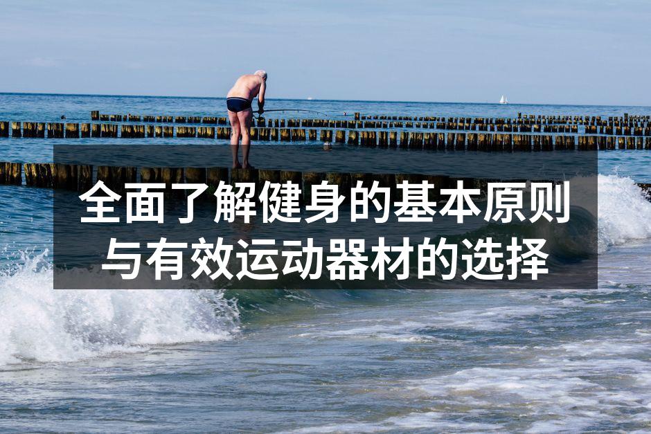 健身器材的多样选择