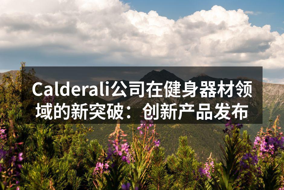 Calderali公司在健身器材领域的新突破：创新产品发布